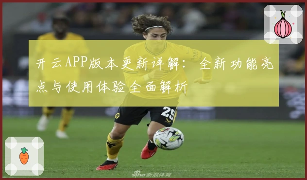 开云APP版本更新详解：全新功能亮点与使用体验全面解析